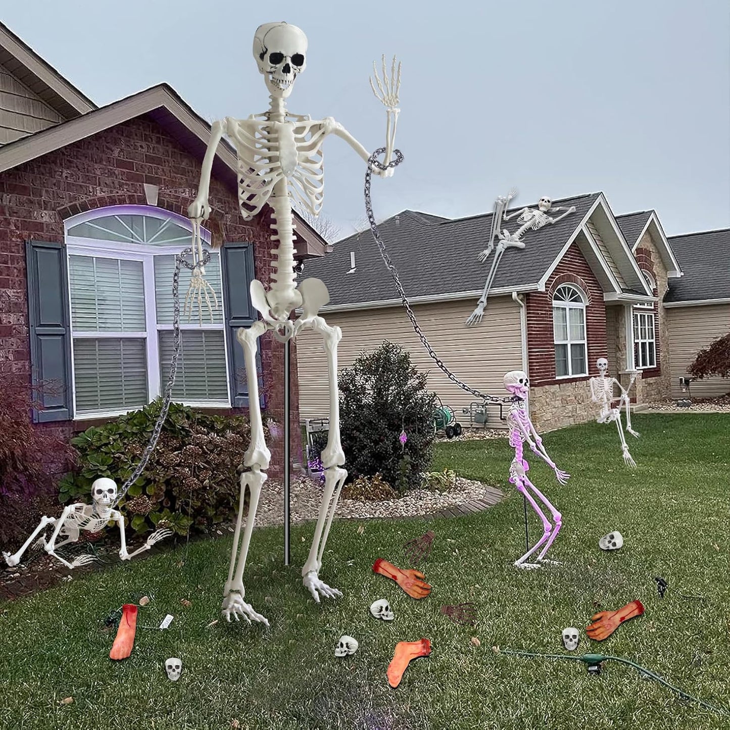 7.9ft/240cm Giant Skeleton Halloween Skeleton Life Size