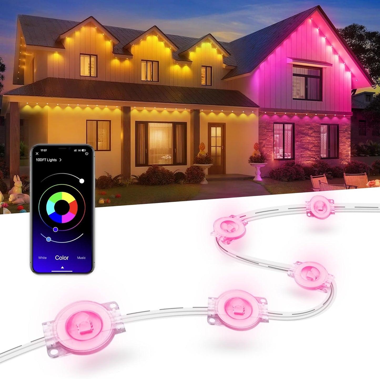 Permanent Outdoor Lights for House