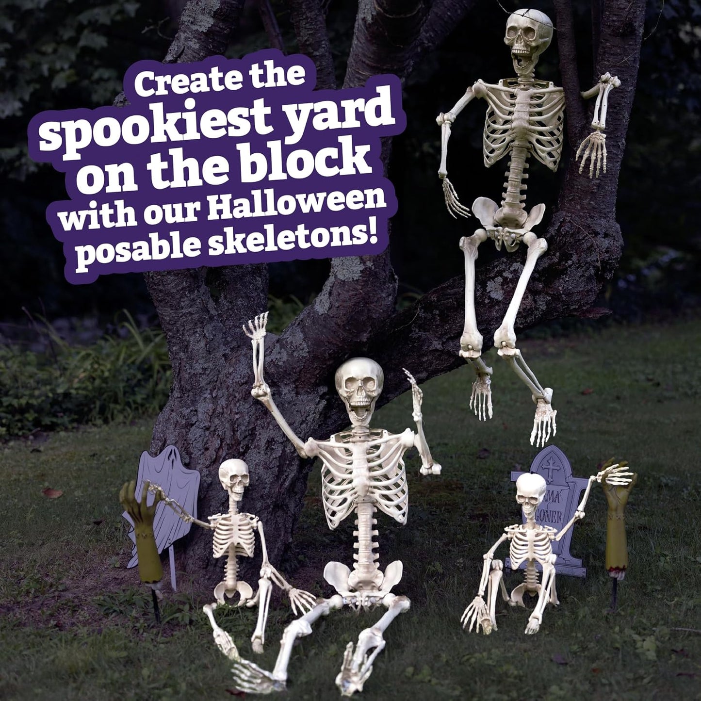 Posable Life Size Human Skeleton Family 4pk- 2 Adult (5'4") & 2 Children (2')