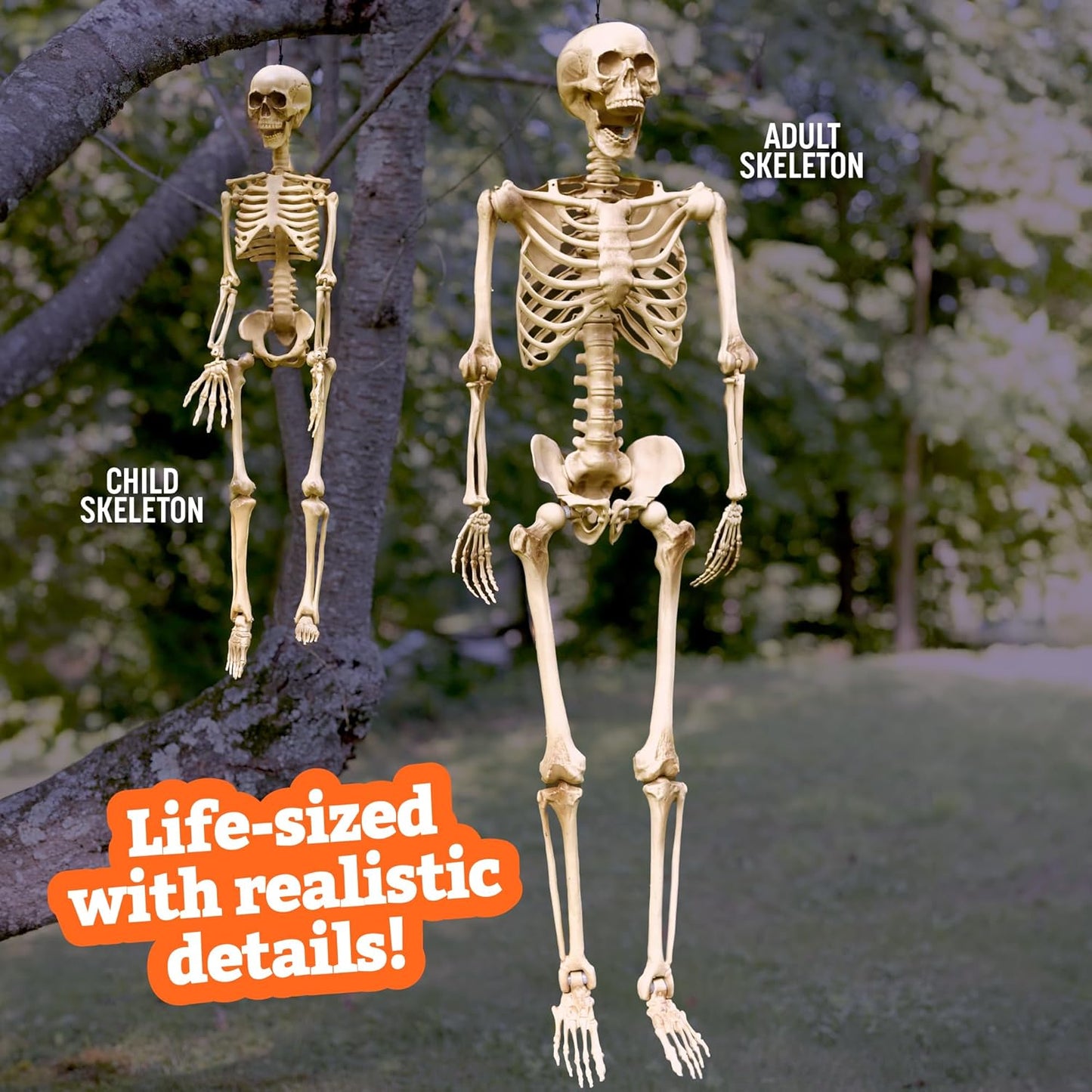 Posable Life Size Human Skeleton Family 4pk- 2 Adult (5'4") & 2 Children (2')