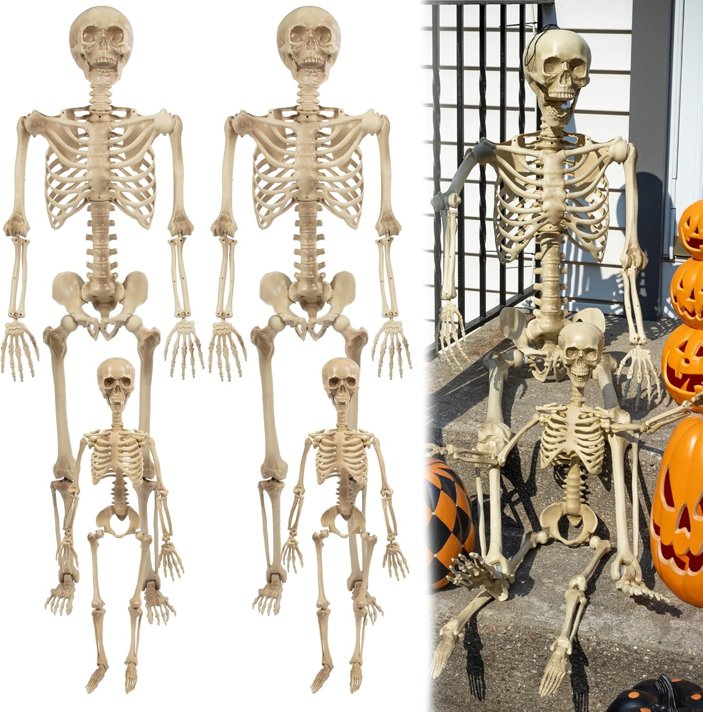 Posable Life Size Human Skeleton Family 4pk- 2 Adult (5'4") & 2 Children (2')